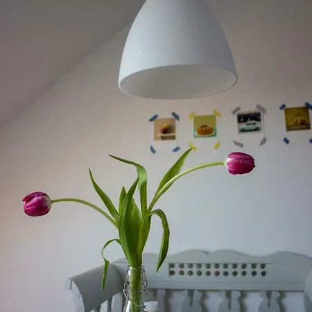 Stadtflucht Lueneburg: Ferienwohnungen Innenstadt Extérieur photo